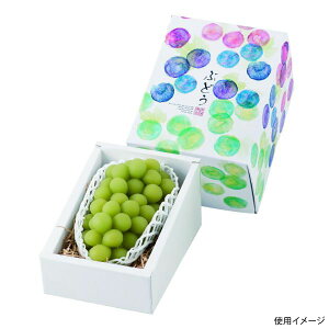 y60_zMtg L-2367 ʂԂǂ1[ }jpbP[W 00555190