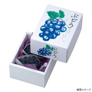 y40_zMtg L-2044 Ă̂Ԃǂ }jpbP[W 00582693