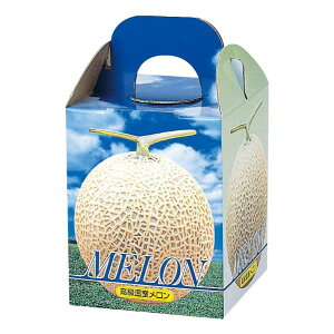 y100_zMtg L-339 sA1 }jpbP[W 00599320