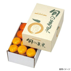 y40_zMtg L-341 {̔5kg }jpbP[W 00643961