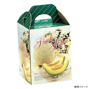 y100_zMtg L-201B t[1 }jpbP[W 00658551