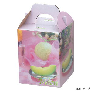 y100_zMtg L-407 uAg1 }jpbP[W 00666286