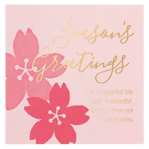 y1_zXNGAV[-6(60) wbY 00691738