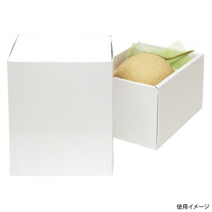 y50_zMtg L-2236 zCg 1 }jpbP[W 00706878