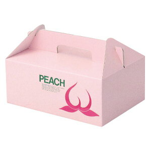 �y100�_�z�M�t�g�� L-170B ����� ���}�j�p�b�P�[�W 00731883