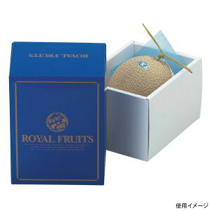 y50_zMtg L-2065 1u[C }jpbP[W 00731885