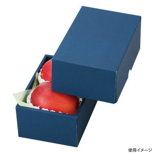 【100点】ギフト箱 L-2238 マンゴー2ヶネイビー ヤマニパッケージ 00731891