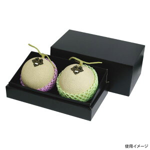 y40_zMtg L-2300 2pC[  }jpbP[W 00731897