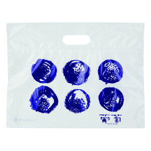 y1000_zMtg L-2410 Ԃǂ K[bg }jpbP[W 00731906
