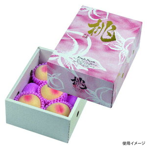 �y50�_�z�M�t�g�� L-2456 �������1.5K ���}�j�p�b�P�[�W 00731908