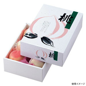 �y50�_�z�M�t�g�� L-291 AP�����Y(��) ���}�j�p�b�P�[�W 00731913