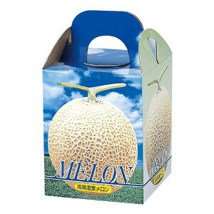 y100_zMtg L-339T sA1䎆t }jpbP[W 00731914