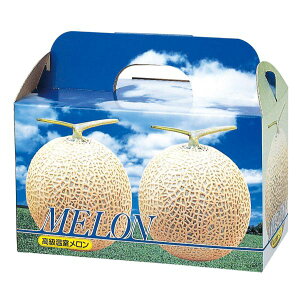 y50_zMtg L-340T sA2䎆t }jpbP[W 00731915