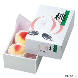 �y50�_�z�M�t�g�� L-367 AP�����Y6���� ���}�j�p�b�P�[�W 00731916