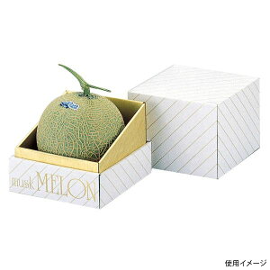 y30_zMtg L-73 䎆1 }jpbP[W 00731921