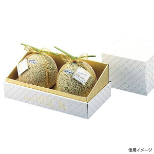 y30_zMtg L-74 䎆2 }jpbP[W 00731922