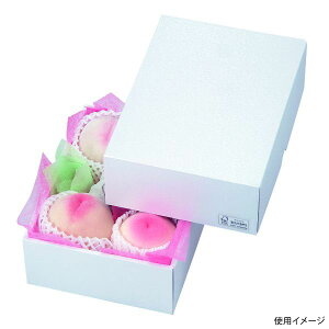 y50_zMtg LTO-22FS p[22 FS }jpbP[W 00731925