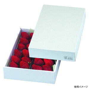 y50_zMtg LTO-27FS p[27 FS }jpbP[W 00731926