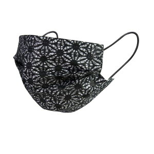 y2000_zT[WJ}XN  aT[WJ}XN ̗t F ΂ 00732839