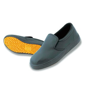 y12_zRbNV[Y JW951 WFCLb`x[VbN  23.5cm ӂ 00745440
