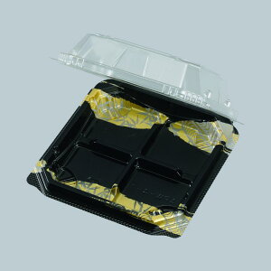 y1200_zaَqt[hpbN APW-4-1 ˍ GtsR`[p 00759054