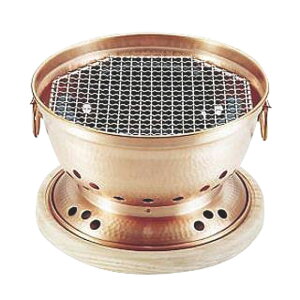 y1ze[upi  YpR(t) 00483300