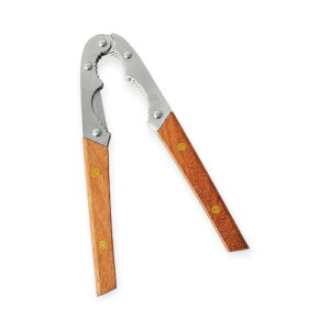 y1zpi [YntN~ 00490218