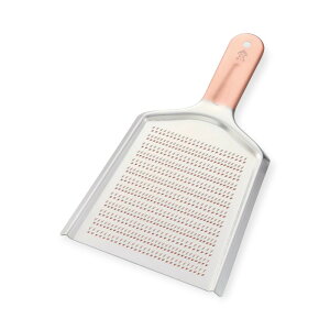 y1z X[p[nCJbg 낵 1 DO-010 ʖڗ 00490246