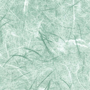 y1܁zMtg 49-1702  ʗ ˔ 50 TTK 00671592