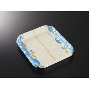 �y450���z���A�g���[ CX20-24A �����B�� �g �������w 00695431