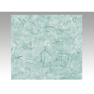 y500z457  ʗ() H xx 00769515