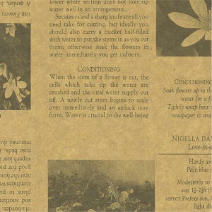 y1܁zMtg 49-1421  J[fBAO[ ˔ 50 TTK 00778012