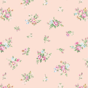 y1܁zMtg 49-2501  fB[Y S 50 TTK 00778053