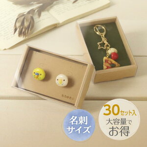 y1zpi 50-161 X[utJ[{bNXM Ntg 30P TTK 00781889