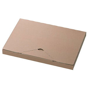 �y1�g�z������ MCP-PGB4 ���nCP�|�X�g�M�t�g�{�b�N�X-4/A5-20mm(20��) �w�b�Y 00787993