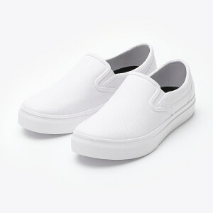 y1_zJWAV[Y }_56 zCg 27.0cm ی 00799264