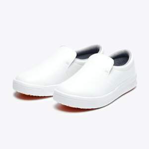 y10_zRbNV[Y Eg\[73 zCg 23.5cm ی 00799308