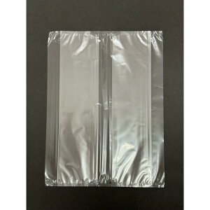 y5000_zʗp KB^XZbag(1/2ʗp) RoV 00799648