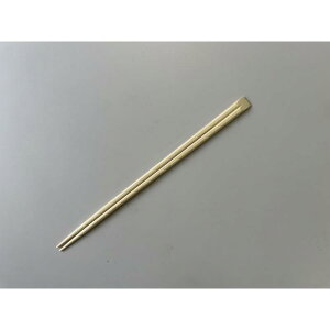 y30_z |V 21cm 100V|  00801595