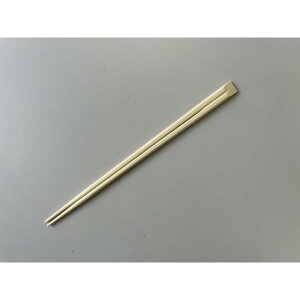 y30_z |V 24cm 100V|  00801596