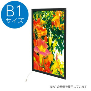 y1_zi C[W[Cgpl ver2.0 B1 ubN F 00809597