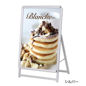 y1_zA^{[h ObvA A1[ЖʃVo[ GA-A1LS F 00805815