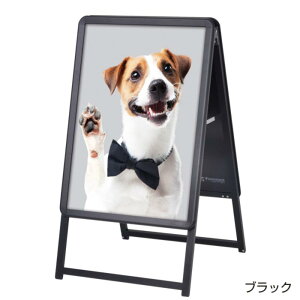 y1_zA^{[h ObvA B2ʃubN GA-B2W F 00805844