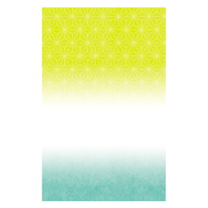 y500_zMtg ^ a  }jpbP[W 00801141