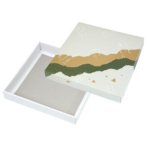 y100_zaَqe tďH~25g[Ȃ }jpbP[W 00801199