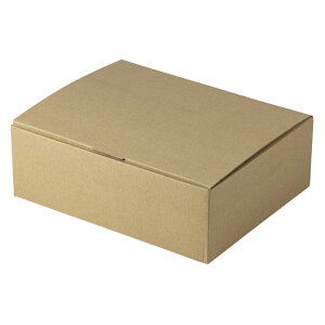 y100_z nsDz䎆t }jpbP[W 00801228