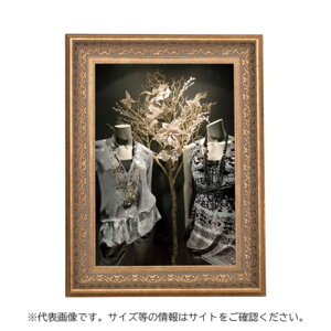 y1_zAeB[Nt[ EXA[fRt[ S[h A2 F 00816935