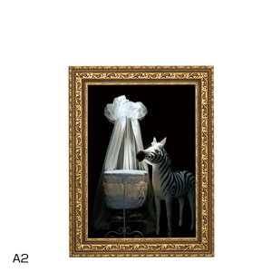 y1_zAeB[Nt[ A[fRt[ S[h A2 F 00816941