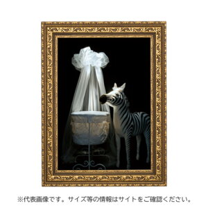 y1_zAeB[Nt[ A[fRt[ S[h A3 F 00816942