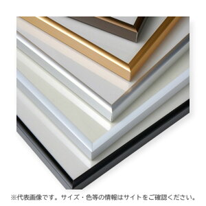y10_zA~t[ Npl A3 zCg F 00816959